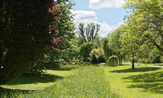 aménagement jardin