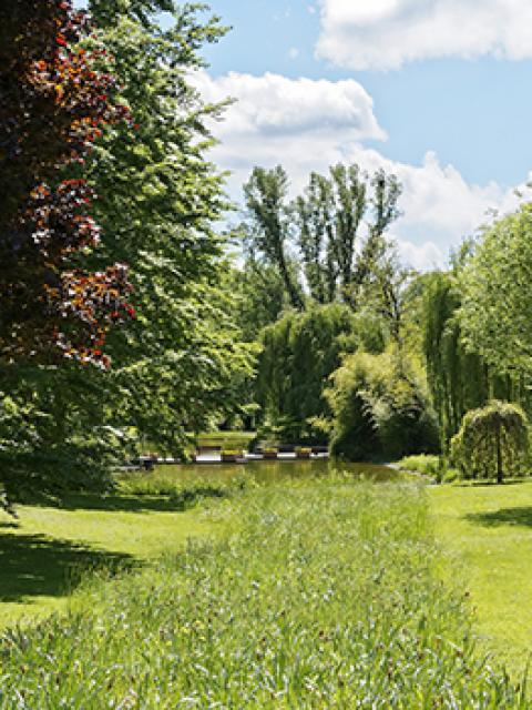 Travaux de terrassement DUJARDIN MAURICE TP Travaux de terrassement DUJARDIN MAURICE TP