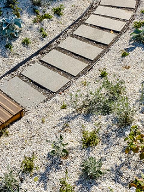 Bienvenue sur le site DUJARDIN MAURICE TP Bienvenue sur le site DUJARDIN MAURICE TP