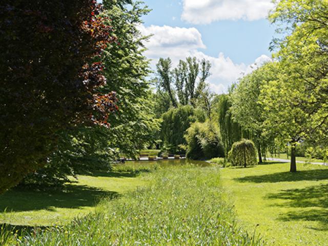 Réalisation DUJARDIN MAURICE TP